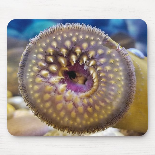 Sea Lamprey Mouth Mouse Mat (Front)