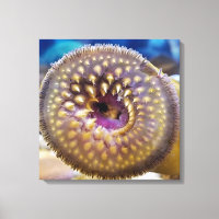 Sea Lamprey Mouth  Poster