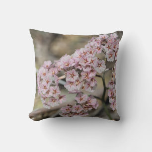Sea Lavender / Statice Flower Pillow