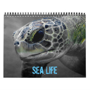 Sea Life Calendar