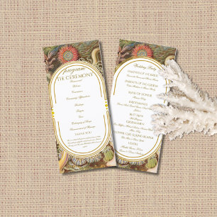 Sea Life Coral Reef Haeckel 