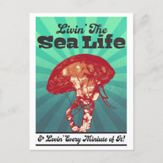 Sea Life Jellyfish Postcard