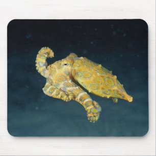 Sea Life - Octopus Mouse Mat