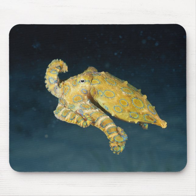 Sea Life - Octopus Mouse Mat (Front)