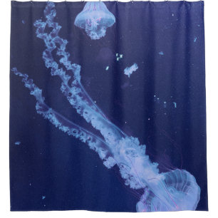 Sea Life Shower Curtain