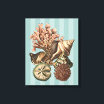 Sea Life Silhouette Canvas Print<br><div class="desc">This art print displays the finest things in nature within the ocean. Find all the different types of sea life in this image including a Conch Seashell, Sand Dollars, and Reefs buried deep in the sea. This art collection is a must have in your next Zazzle products.</div>