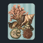 Sea Life Silhouette Magnet<br><div class="desc">This art print displays the finest things in nature within the ocean. Find all the different types of sea life in this image including a Conch Seashell, Sand Dollars, and Reefs buried deep in the sea. This art collection is a must have in your next Zazzle products.</div>