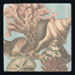 Sea Life Silhouette Stone Coaster<br><div class="desc">This art print displays the finest things in nature within the ocean. Find all the different types of sea life in this image including a Conch Seashell,  Sand Dollars,  and Reefs buried deep in the sea. This art collection is a must have in your next Zazzle products.</div>
