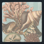 Sea Life Silhouette Stone Coaster<br><div class="desc">This art print displays the finest things in nature within the ocean. Find all the different types of sea life in this image including a Conch Seashell,  Sand Dollars,  and Reefs buried deep in the sea. This art collection is a must have in your next Zazzle products.</div>
