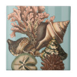 Sea Life Silhouette Tile<br><div class="desc">This art print displays the finest things in nature within the ocean. Find all the different types of sea life in this image including a Conch Seashell,  Sand Dollars,  and Reefs buried deep in the sea. This art collection is a must have in your next Zazzle products.</div>