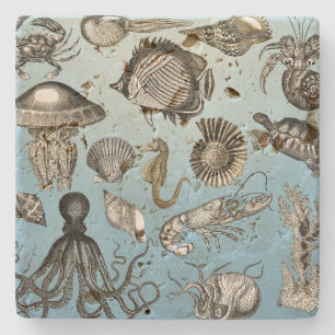 Sea Life Stone Coaster