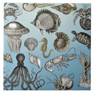 Sea Life  Tile