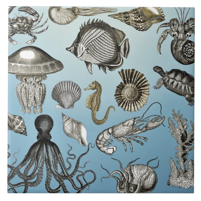 Sea Life  Tile (Front)