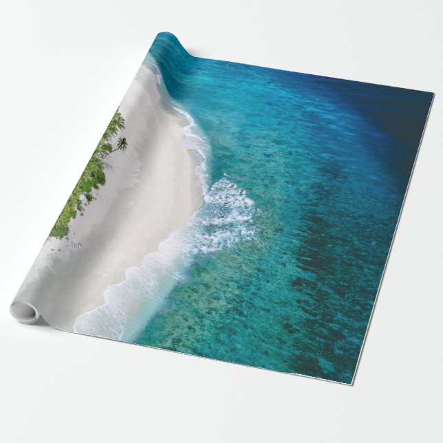 Sea Life Wrapping Paper (Unrolled)