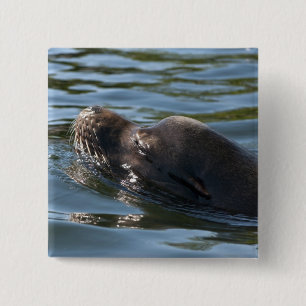 Sea Lion 15 Cm Square Badge