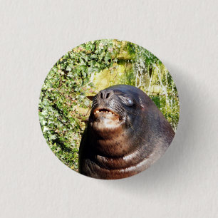 SEA LION   3 CM ROUND BADGE