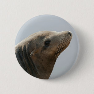 Sea Lion 6 Cm Round Badge