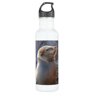 Sea Lion 710 Ml Water Bottle