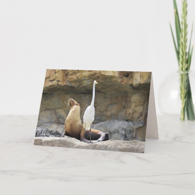 Sea Lion and Egret Greeting Card (Front)