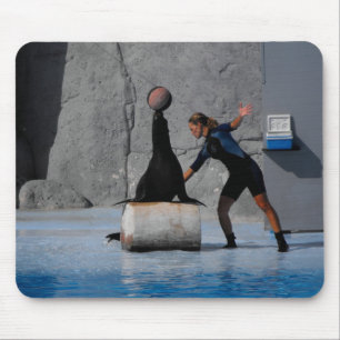 Sea lion balancing a ball in Spain Mouse Mat