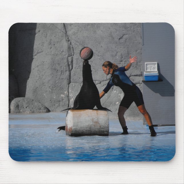 Sea lion balancing a ball in Spain Mouse Mat (Front)