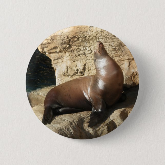 Sea Lion button (Front)