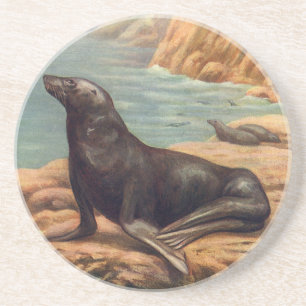 Sea Lion by the Seashore, Vintage Marine Mammals Coaster