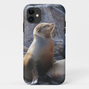 Sea Lion iPhone 11 Case