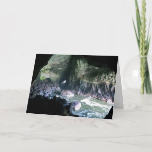 Sea Lion Cave, OR Card