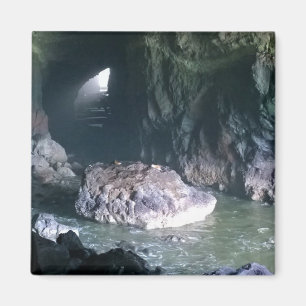 Sea Lion Cave, OR Magnet
