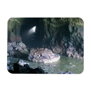 Sea Lion Cave, OR Magnet
