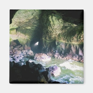 Sea Lion Cave, OR Magnet