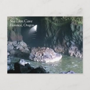 Sea Lion Cave, OR Postcard