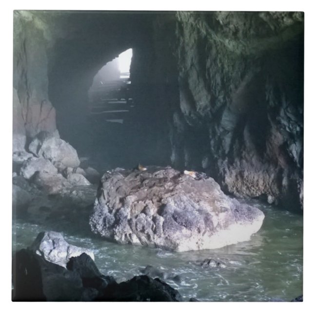Sea Lion Cave, OR Tile (Front)