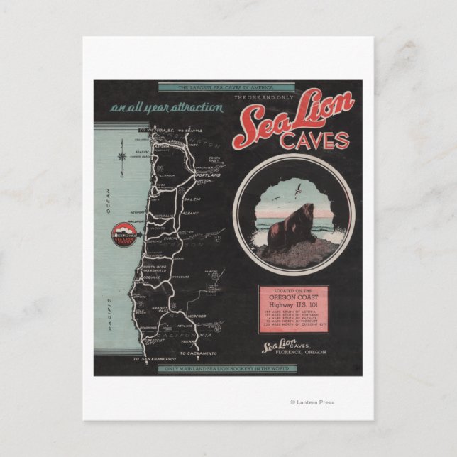 Sea Lion Caves, Florence, Oregon Postcard (Front)