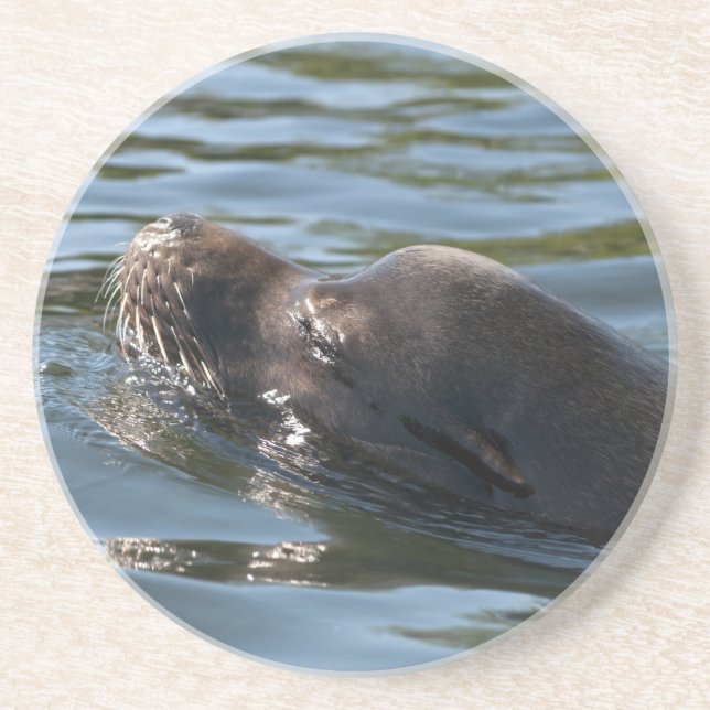 Sea Lion Coaster (Front)