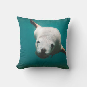 Sea Lion Cushion