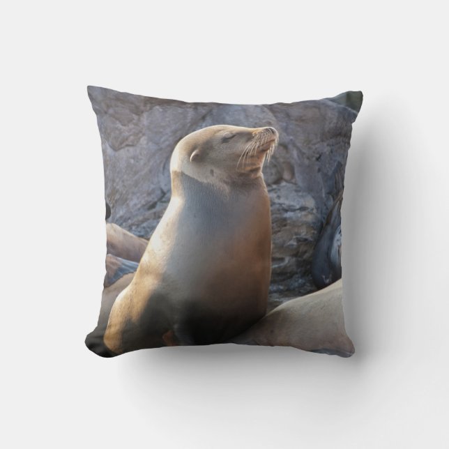 Sea Lion Cushion (Front)