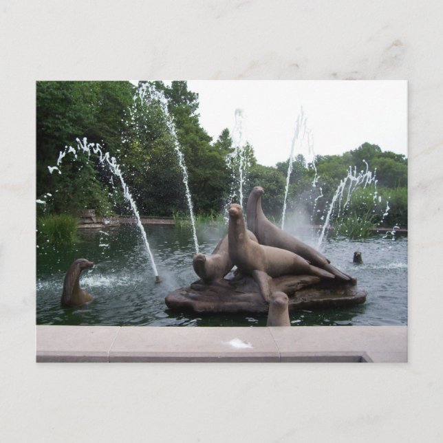 Sea Lion Fountain Postcard (Front)
