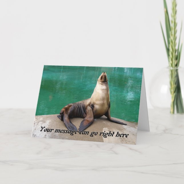 Sea Lion Greeting Card (Front)