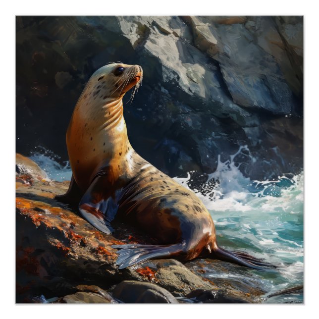 Sea Lion Illustration Poster (Front)