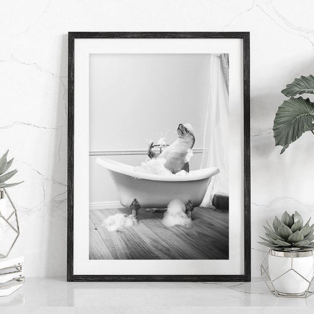 Sea Lion in a bathtub Poster (Creator Uploaded)