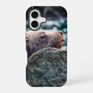 Sea Lion In Resurrection Bay, Alaska iPhone 16 Case