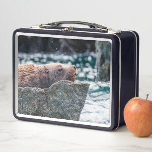 Sea Lion In Resurrection Bay, Alaska Metal Lunch Box