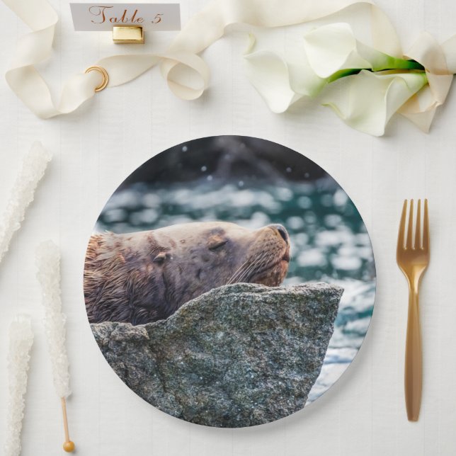 Sea Lion In Resurrection Bay, Alaska Paper Plate (Wedding)