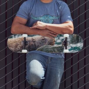 Sea Lion In Resurrection Bay, Alaska Skateboard