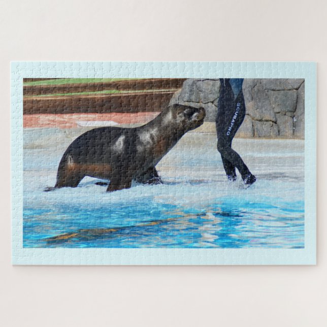 Sea lion jigsaw puzzle (Horizontal)