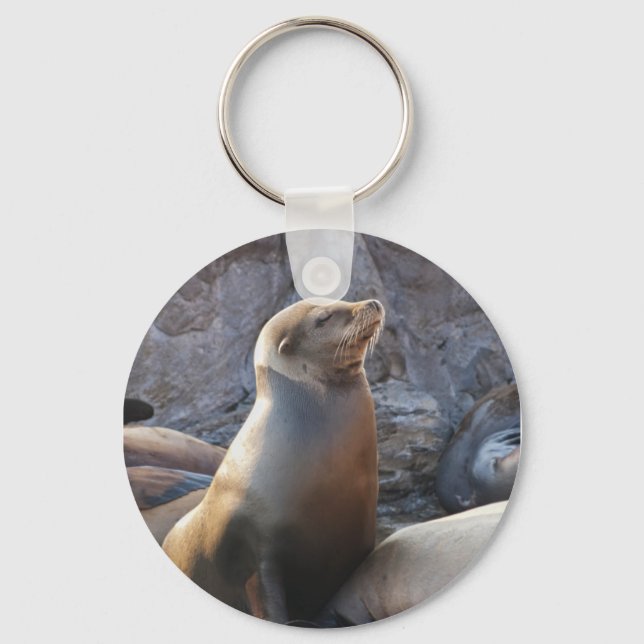Sea Lion Key Ring (Front)