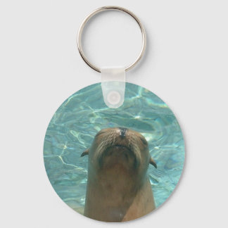 Sea Lion Key Ring