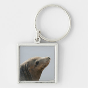 Sea Lion Key Ring